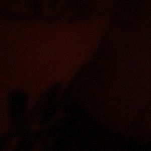 Meet your Posher, Jackson